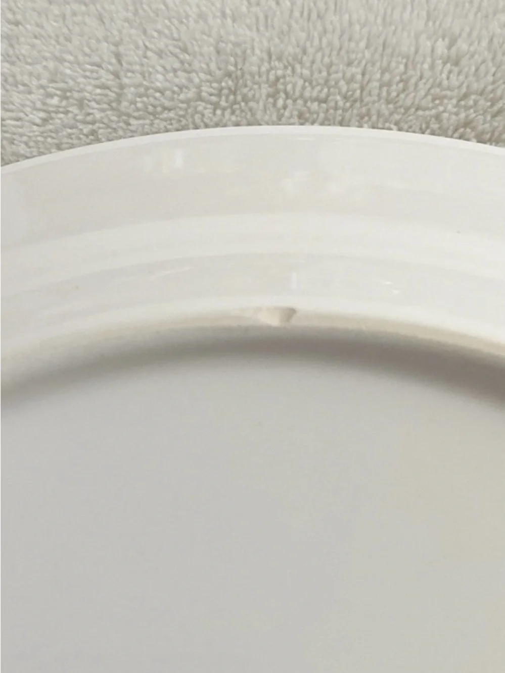 Pier 1 Amelia Set of 2 Salad Plates 8.75” Ironstone Floral Garden Dinnerware